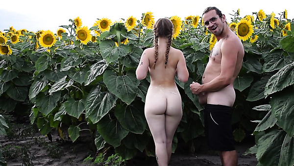 Sunflower Field Thrill: Sweet Suck & Outdoor Cream