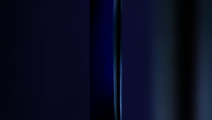 Bell