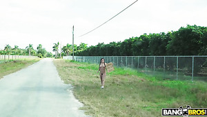 poster image